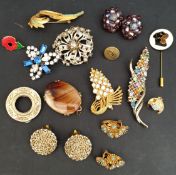 Costume Jewellery Brooches Ear Rings & Badges