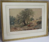 Edwardian Cattle in Landscape Watercolour 