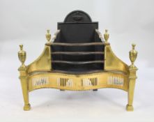 Adam Style Brass & Cast Iron Dog Grate