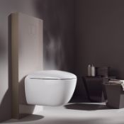(SA2) Keramag Geberit Taupe Glass/Champagne Toilet Universal cistern unit for Back to Wall toil...