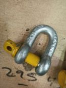 50 X 9.5 Ton Yellow Pin Trawler Dee Shackle (Ustds9.5)