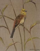 Signed Watercolour On Linnen. Ralston Gudgeon - Yellowhammer