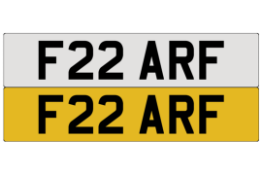 F22 ARF on DVLA retention, ready to transfer