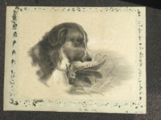 Signed date 1907 pencil sketch of a dog 13x17