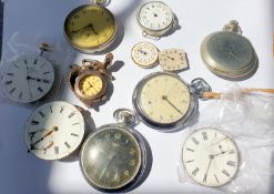 Collection Of Watches