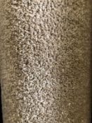 dynasty camel b grade 4m x 3.2m ( 13ft x 10 ft 3in ) polypropylene code 2c94