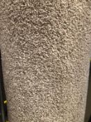 Satisfaction beige twist 4m x 3.8m (12ft 3un x 13ft ) code 2c4