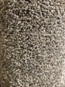 Cheviot mocha shag pile 4m x 3m ( 13ft x 8ft 9in ) polypropylene code 2c89