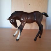 Beswick Foal