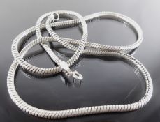 Silver Chain