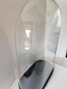 Victorian Oval Glass Dome