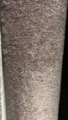 Legendary 37. 4.3m x 3m polypropylene