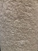 Dynasty Ivory Twist 5.4M X 4M (17Ft 7In X 13Ft) Polypropylene Code C99