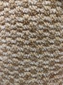 Venus caramel 5m x 4m ( 16ff4in x 13ft ) loopcontract polypropylene feltback