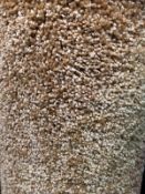 Marble shag pile 6m x 4m (19ft6in x 13ft ) polypropylene feltback