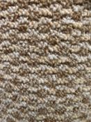Venus conque 8m x 4m (26ft x 13ft ) loopcontract polypropylene feltback
