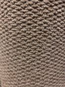 Regatta beige 4m x 3.9m (13ft x 12ft9in ) loop pile polypropylene feltback