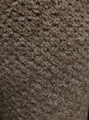 Sweet home beige 5mx 4m (16ft3in x 13ft ) loopcontract polypropylene hessian back