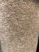 Dynasty camel 4m x 3.2m 13ft x 10ft 3in ) twist pile polypropylene hessian back