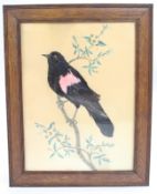 Vintage Blackbird Watercolour with Applied Feathers