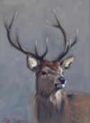 Original oil painting by Peter Munro Born 1954, Exhibited R.S.A, depicting a Stag Head