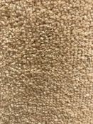 California 25 Carpet 2.7M X 5M