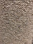 100% Wool Corsa 820 5.5M X 4M (18Ft X 13Ft ) Looppile Hessian Back
