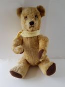 The Dean'S Teddy Bear