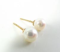 9K Gold South Sea Cultured Pearl Earrings