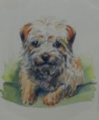 Original Unsigned Watercolour Dog Portrait