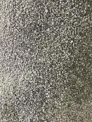 Dark beige carpet 2.27m x 4m