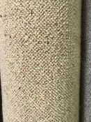 Ivory soft carpet 5.9m x 4m
