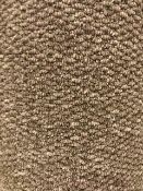 Regatta mink carpet 7.2m x 4m