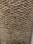 Mars Camel 4M X 3M(13Ft X9Ft 8In ) Polypropylene Loopcontract Feltback