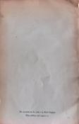 Bulk Of 8 Rare Books Early 1900 , Still In Good Conditions
