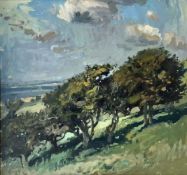 'Hillside Meadow' Oil on Canvas Painting