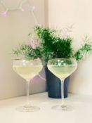 John Lewis Classic Collection Champagne Saucers x 10 Sets