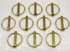 1000 x 10mm lynch pin (ags14774)
