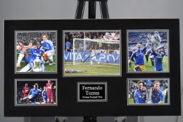 Fernando Torres