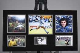 Peter Shilton
