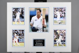 Andrew Strauss