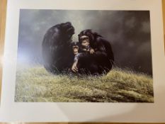 Spencer Hodge Large Limited edition Print 