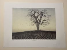 Martin Caulkin Signed Limited Edition Print, The Ploughed Field 1984.