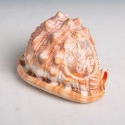 Beschnitzte Muschel mit Darstellung von 