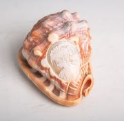 Beschnitzte Muschel mit Darstellung von 