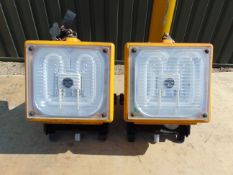 Qty 2 x Dragon Max Portable Floodlights