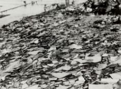 Baltz, Lewis (1945 Newport Beach - Paris 2014)