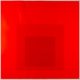 Albers, Josef (1888 Bottrop - New Haven 1976) - Bild 7 aus 7