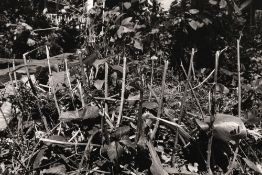 Gossage, John (1946 New York)