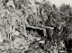 Baltz, Lewis (1945 Newport Beach - Paris 2014)